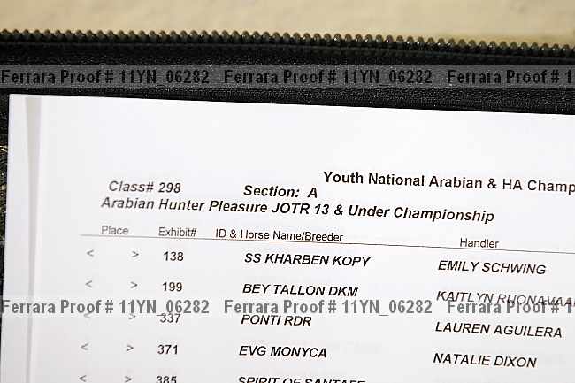 Proof 11yn_06282