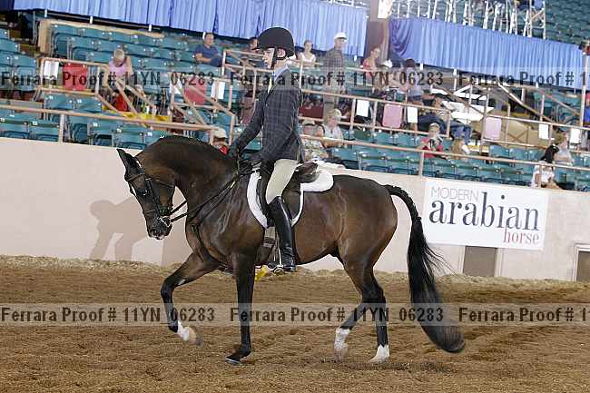 Proof 11yn_06283