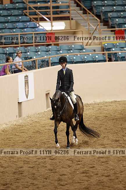 Proof 11yn_06286