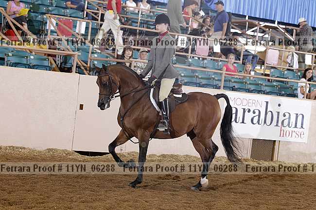 Proof 11yn_06288