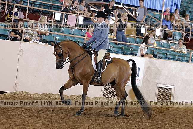Proof 11yn_06292