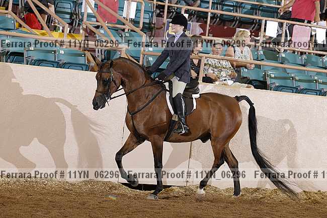 Proof 11yn_06296