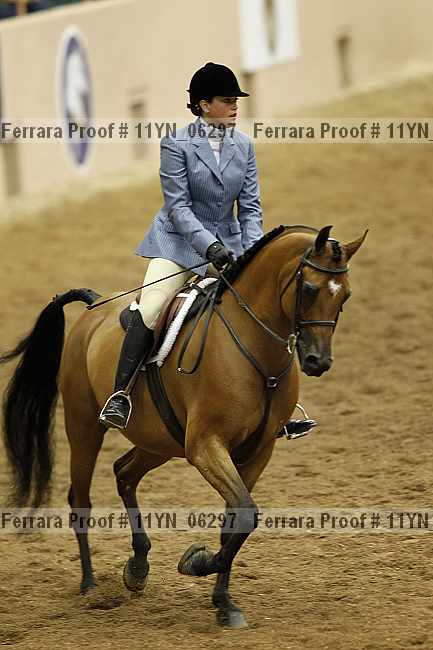 Proof 11yn_06297