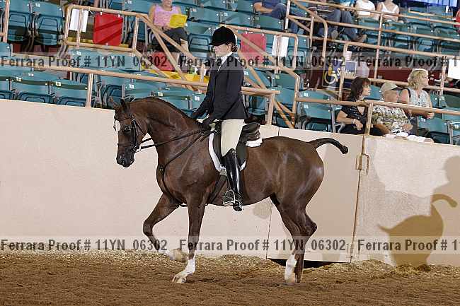 Proof 11yn_06302