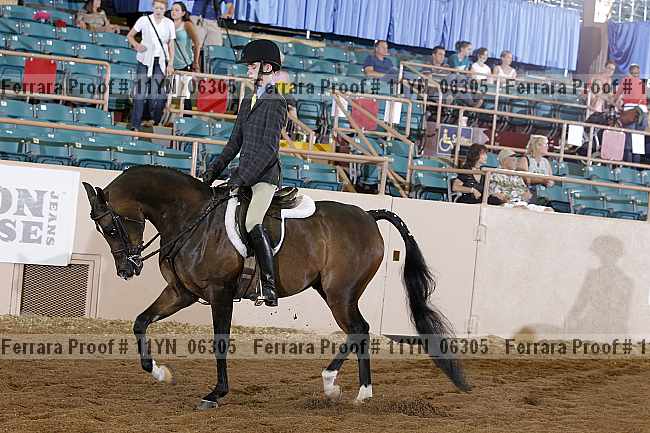 Proof 11yn_06305