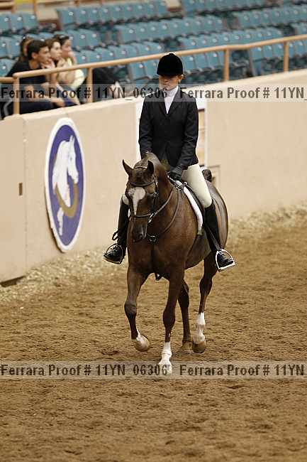 Proof 11yn_06306