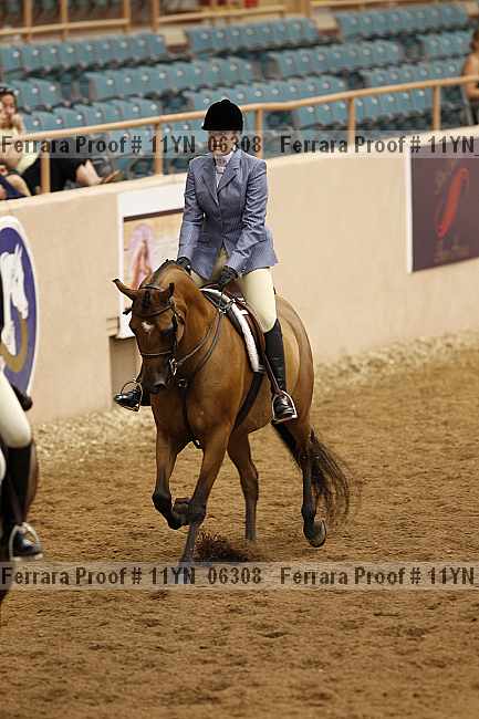 Proof 11yn_06308