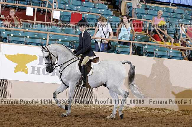 Proof 11yn_06309