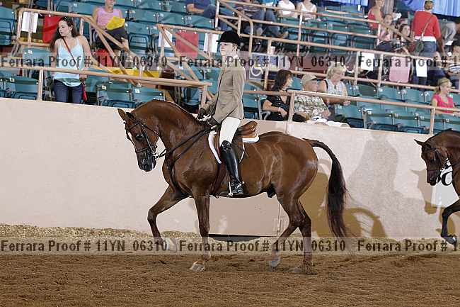 Proof 11yn_06310