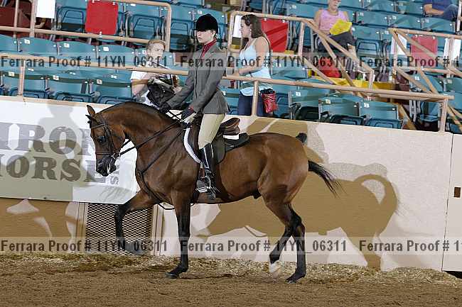 Proof 11yn_06311