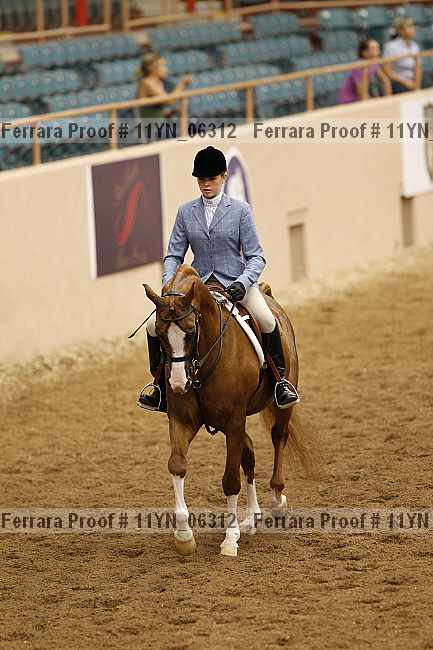 Proof 11yn_06312