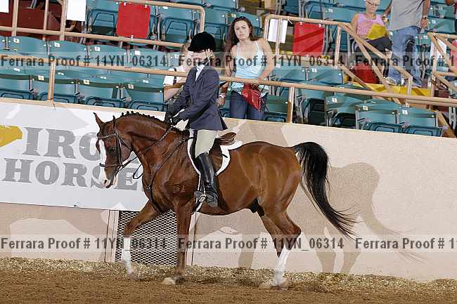 Proof 11yn_06314