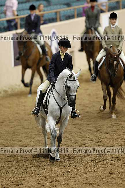 Proof 11yn_06315