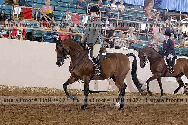 Proof 11yn_06327