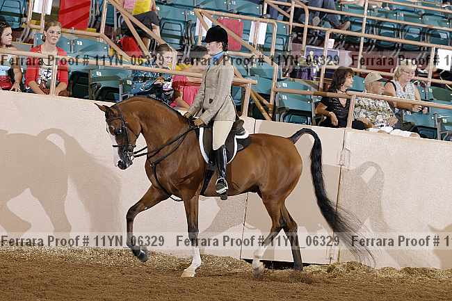 Proof 11yn_06329