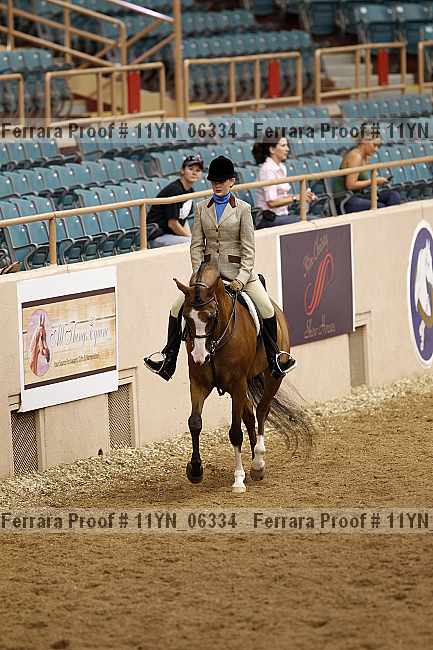 Proof 11yn_06334