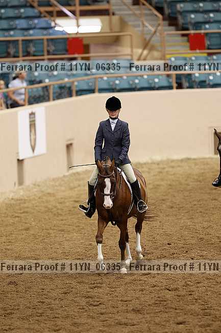 Proof 11yn_06335