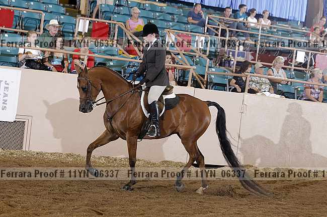 Proof 11yn_06337