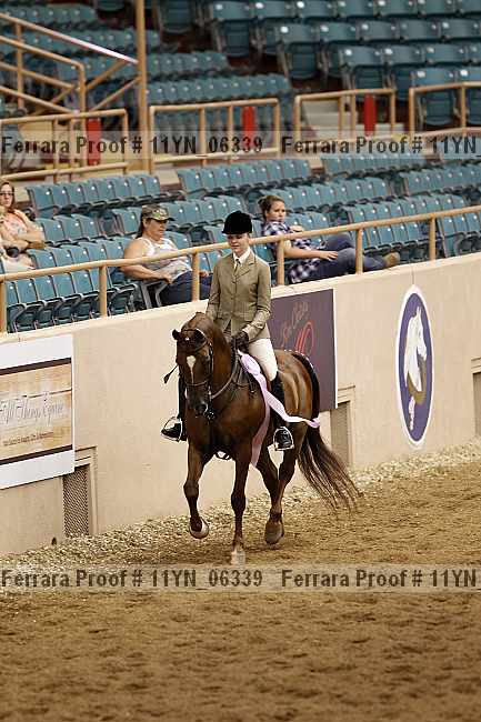 Proof 11yn_06339