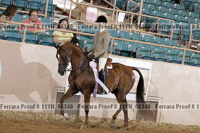 Proof 11yn_06340
