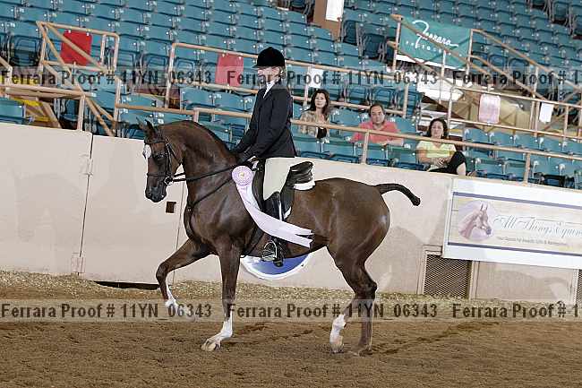 Proof 11yn_06343