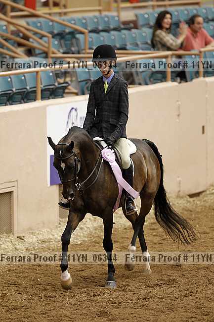 Proof 11yn_06344