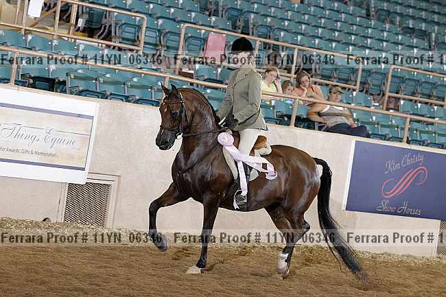 Proof 11yn_06346