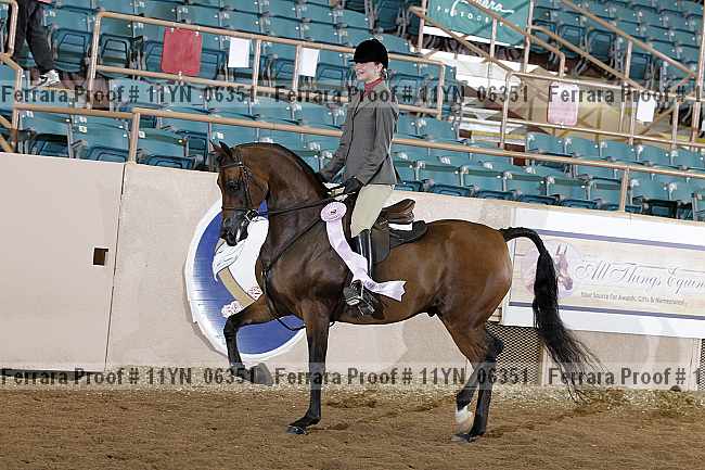 Proof 11yn_06351