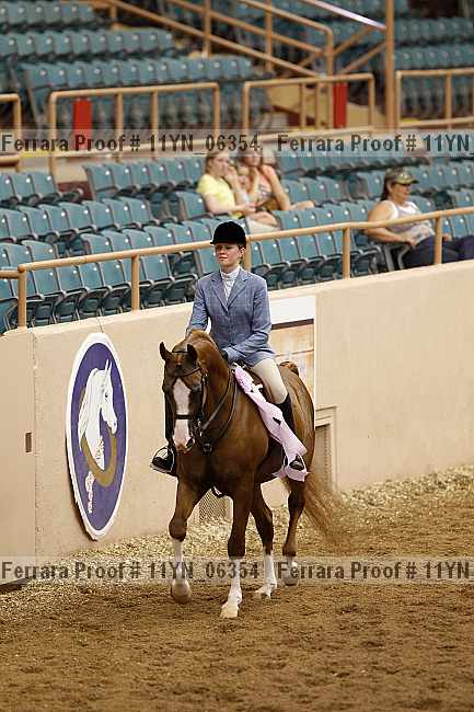 Proof 11yn_06354