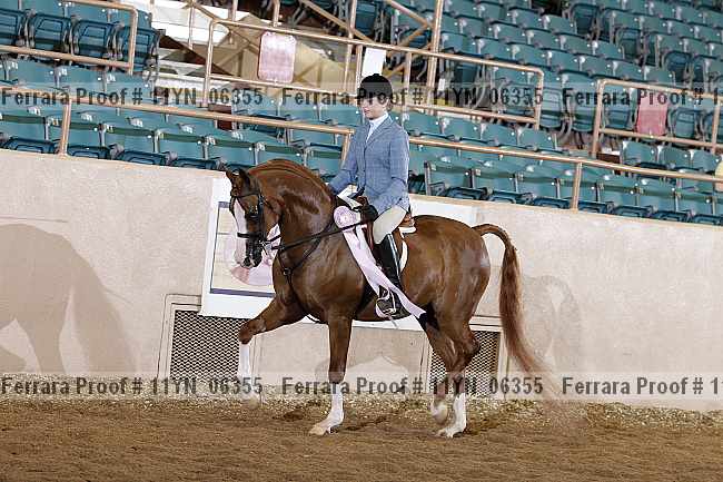Proof 11yn_06355
