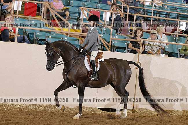Proof 11yn_06358