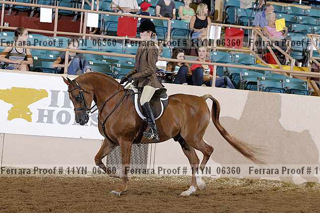 Proof 11yn_06360