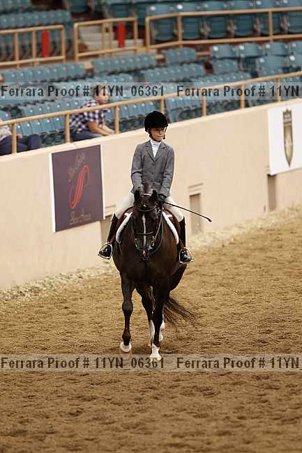 Proof 11yn_06361