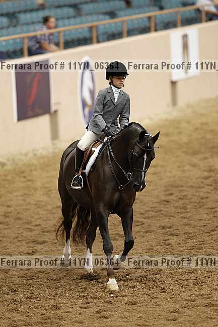 Proof 11yn_06364