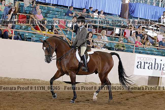 Proof 11yn_06365