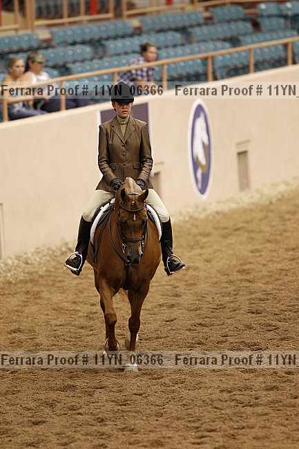 Proof 11yn_06366