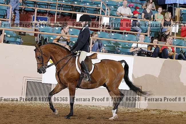 Proof 11yn_06368
