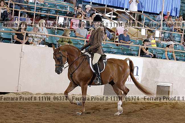 Proof 11yn_06374