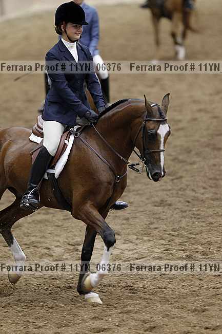 Proof 11yn_06376