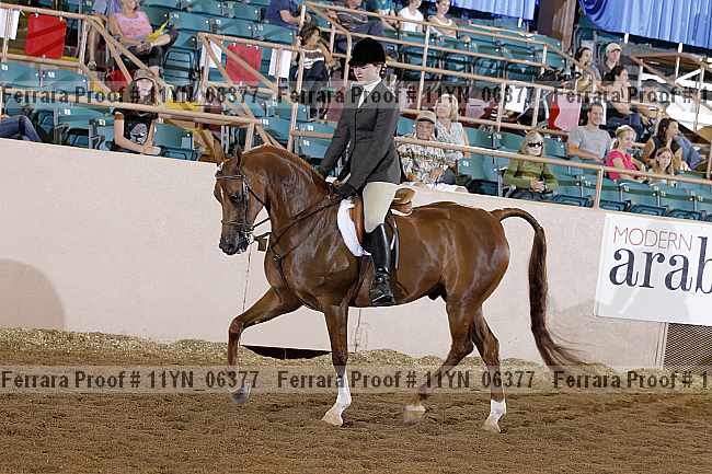 Proof 11yn_06377