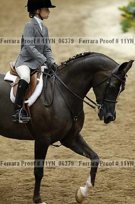 Proof 11yn_06379