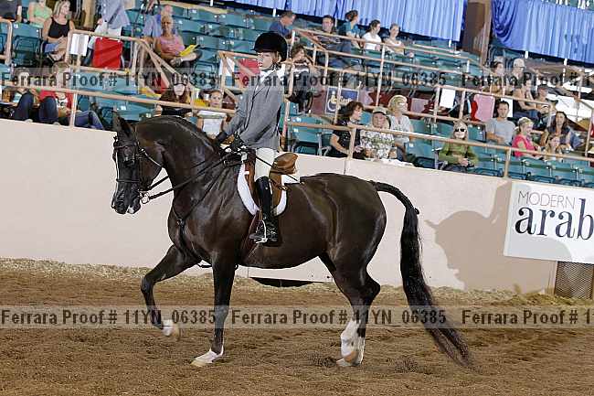 Proof 11yn_06385