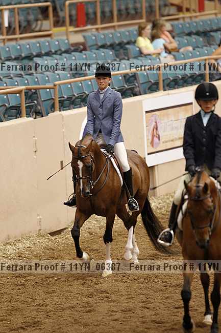 Proof 11yn_06387