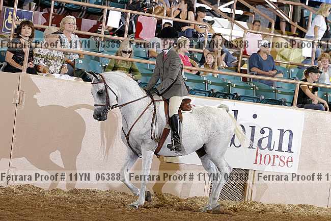 Proof 11yn_06388