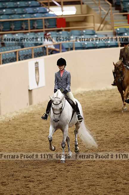 Proof 11yn_06390