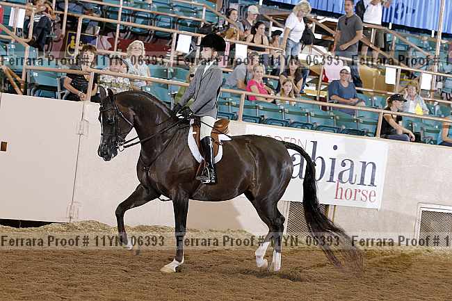 Proof 11yn_06393