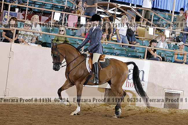 Proof 11yn_06394