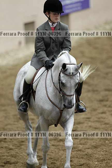 Proof 11yn_06396