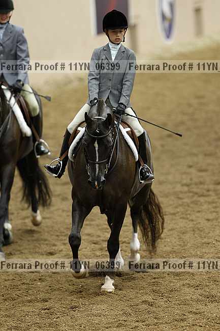 Proof 11yn_06399