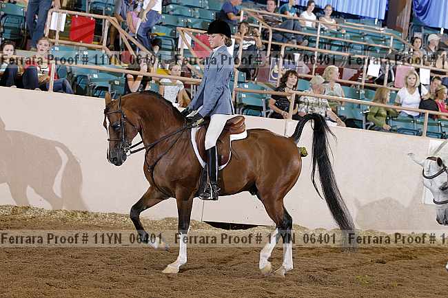 Proof 11yn_06401